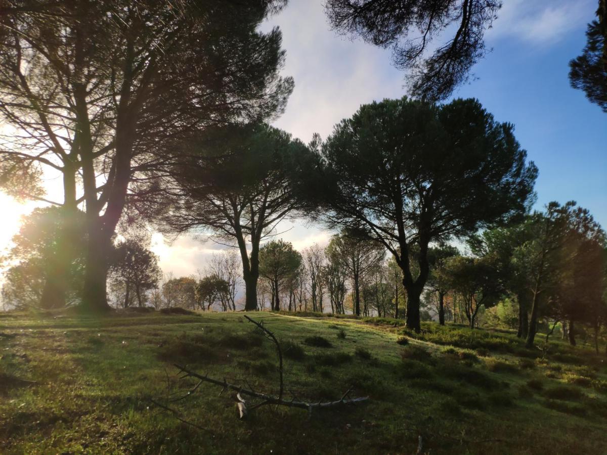 Casa Rural El Trepador Azul Cabeza la Vaca Eksteriør bilde